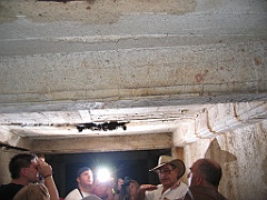 CairnsTC448 Paronella Park